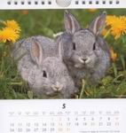Heye Kalender - Süße Kaninchen 2004 - Mai 2004