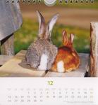 Heye Kalender - Süße Kaninchen 2005 - Dezember 2005