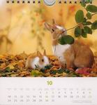 Heye Kalender - Süße Kaninchen 2005 - Oktober 2005