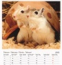 teNeues Kalender - Streichelzoo 2005 - Februar 2005