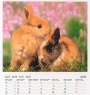 teNeues Kalender - Streichelzoo 2005 - April 2005