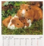 teNeues Kalender - Streichelzoo 2005 - Mai 2005