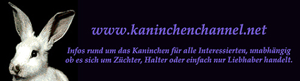 Banner Kaninchenchannel