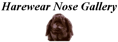 Logo - Harewear Nose Gallery